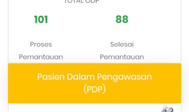 Jumlah PDP di Bungo Bertambah Satu Orang, ODP Terkini 189 Orang
