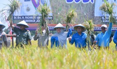 Fachrori : Pemerintah Bersinergi Memacu Peningkatan Produksi Pangan