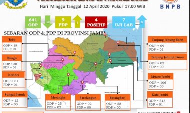 Update Corona di Jambi Hari Ini 12 April: ODP Menurun, PDP Bertambah 1