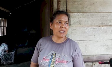 Hasil Penjualan Ubinya Nihil, Petani di Kota Jambi Ini Makan Seadanya untuk Hidup