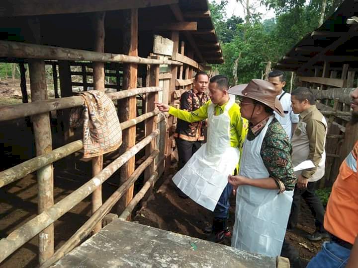 Wabup Bungo Apri Dampingi Gubernur Jambi Kunker ke Sentra Peternak Jujuhan