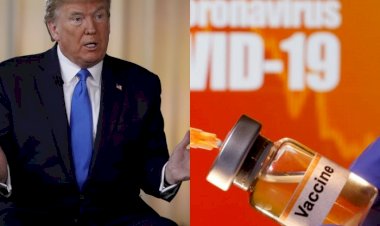 Trump Klaim Amerika Bakal Punya Vaksin Virus Corona di Akhir Tahun 2020