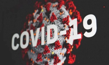 WHO Sebut Virus Corona Mungkin Tidak Akan Hilang