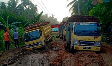 DPRD Provinsi Jambi Desak Pemprov Serius Perbaiki Jalan Rusak di Desa Siaudalam