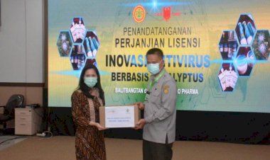 Antivirus COVID-19 Berbahan Eucalyptus Kementan Gandeng Swasta
