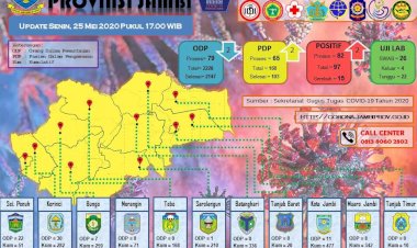 Pasien Positif dan Sembuh dari Corona Hari Ini, Johansyah: Dari Kota Jambi dan Muarojambi
