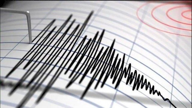 Gempa 7,3 SR Goncang Maluku Malam Ini, Tak Berpotensi Tsunami