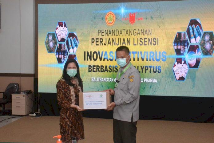 Antivirus COVID-19 Berbahan Eucalyptus Kementan Gandeng Swasta