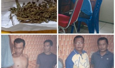 Ketahuan Simpan Ganja, Preman Kincai Plaza Ini Tak Berkutik Saat Ditangkap Polisi