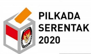 Cegah COVID-19, F-PKB Sarankan Pilkada 2020 gunakan sistem e-voting