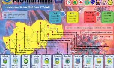 Tambahan 3 Pasien Positif Corona 19 Juni di Jambi, Johansyah: 2 dari Sungaipenuh, 1 dari Muarojambi