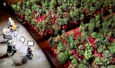 Ribuan Tanaman jadi Penonton Konser di Gedung Opera Liceu Barcelona