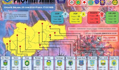 Ini Identitas Pasien Positif dan Pasien Sembuh dari Corona di Jambi Hari Ini