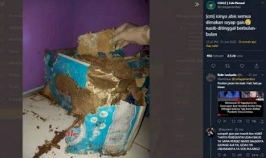 Mudik ke Kampung 3 Bulan, Pulang ke Kos Mahasiswa Ini Kaget Bukan Kepalang