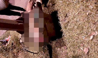 Heboh, Jari dan Kaki Manusia Ditemukan Warga di Depan Swalayan Kota Bangko