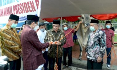Presiden Jokowi Serahkan Sapi Kurban 1 Ton ke Masjid Istiqlal