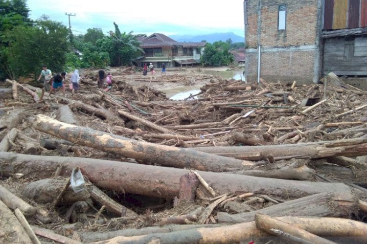 Banjir Bandang di Luwu Utara Akibatkan 223 Rumah Rusak Berat