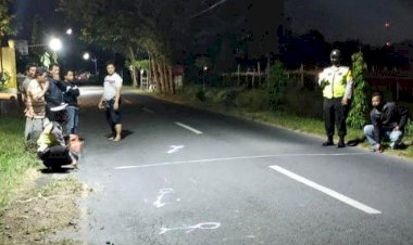 Coba Salip Truk, Kakek 70 Tahun di Blitas Tewas Tabrak Belakang Truk