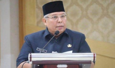 Ditinggalkan Fachrori, Safrial Fokus Menangkan Istrinya di Pilkada Tanjabbar