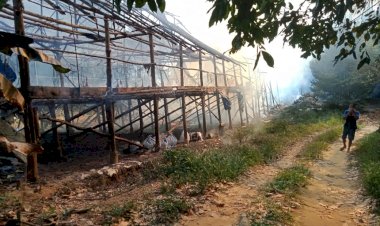 Kandang Ayam di Jaluko Muarojambi Terbakar, Puluhan Ekor Ayam Ikut Hangus