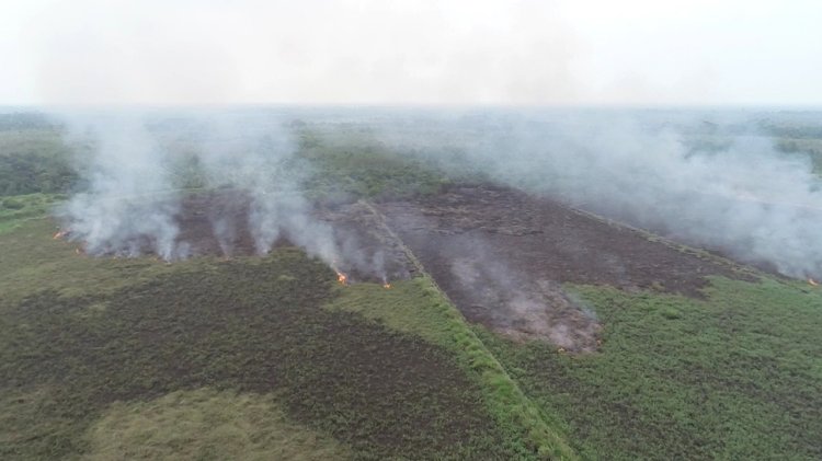 Karhutla Terus Mengancam Muarojambi, Lahan HGU PT Kharisma Terbakar