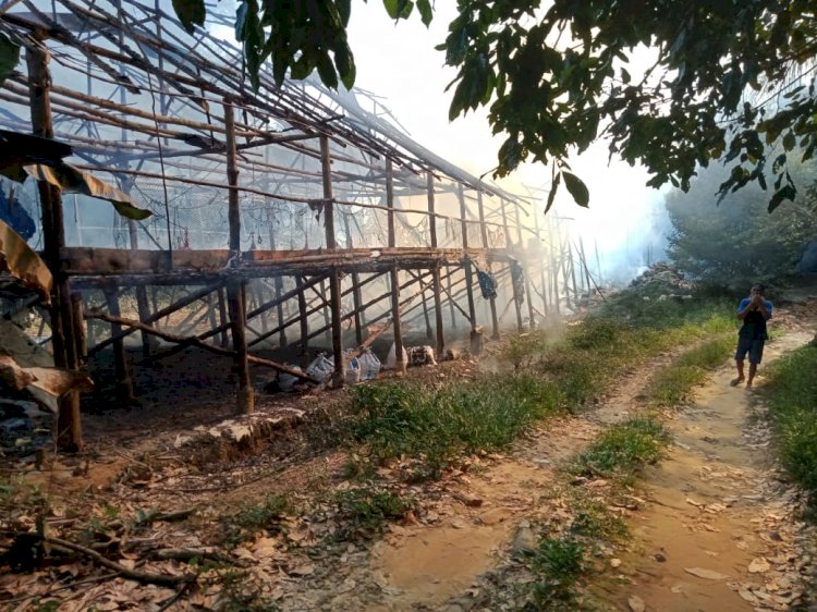 Kandang Ayam di Jaluko Muarojambi Terbakar, Puluhan Ekor Ayam Ikut Hangus