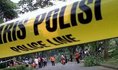 Viral! Gadis Berjilbab Nyaris Bugil di Tengah Hutan Pinus, Begini Kronologisnya