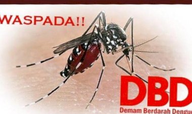 Lebih Parah dari Corona, DBD Mulai Menyerang Warga Kota Jambi, 8 Orang Meninggal