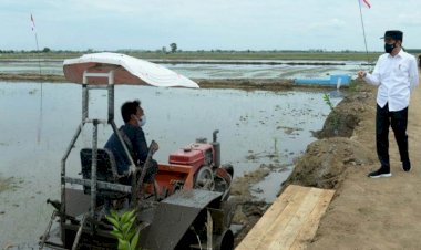 Presiden Jokowi Ingatkan Fenomena La Nina, Ini Kawasan Terdampak