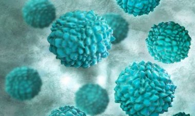 Waspada Virus Baru Ditemukan di Indonesia, Begini Gejalanya