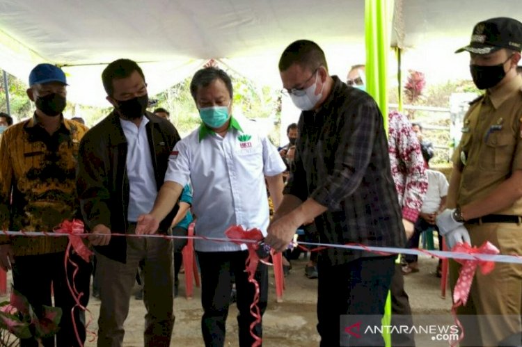 Yuk! Intip Desa Wisata Sekolah Kopi di Pagaralam