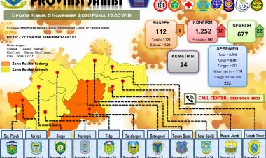 Hari Ini, 22 Warga Jambi Sembuh dari Covid-19, Terbanyak di Kabupaten Ini