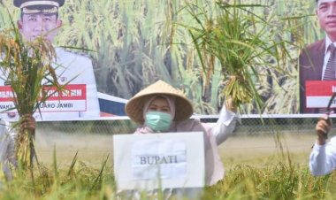 Bupati Masnah : Alhamdulillah Muarojambi Punya Benih Padi Varietas Unggulan yang Sudah Dipatenkan
