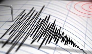 Gempa 5,1 Magnitudo Goyang Sumba Barat