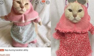 Viral! Online Shop Jual Hijab Syar'i untuk Kucing, Bikin Gagal Faham Netizen