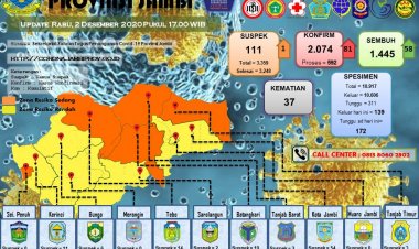 Jelang Pilkada, Penambahan Pasien Positif Corona di Jambi Pecah Rekor, Capai 81 Orang Hari Ini