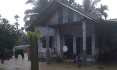 Banjir Rendam 15 Desa di Aceh Utara, Ini Penyebabnya