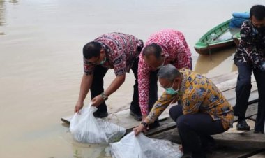 Peringati Hari Lingkungan Hidup Pemkab Bungo Tebar Benih Ikan & Tanam Pohon
