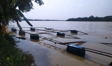 Waspada, Debit Sungai Batanghari Masuki Level Siaga IV