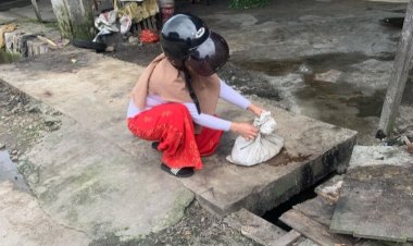 Biadab! Kucing Dikuliti dan Kepalanya di Potong