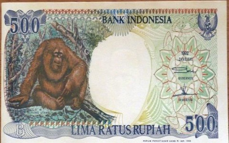 Punya Uang Gopek Gambar Orang Utan? Kini Harganya Selangit