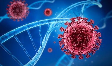 Covid-19 di Indonesia 8 Februari 2021, Naik 8.000 Kasus Baru