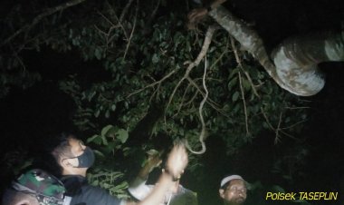 Pemuda di Bungo Ini Ditemukan Tewas Tergantung di Pohon Jengkol