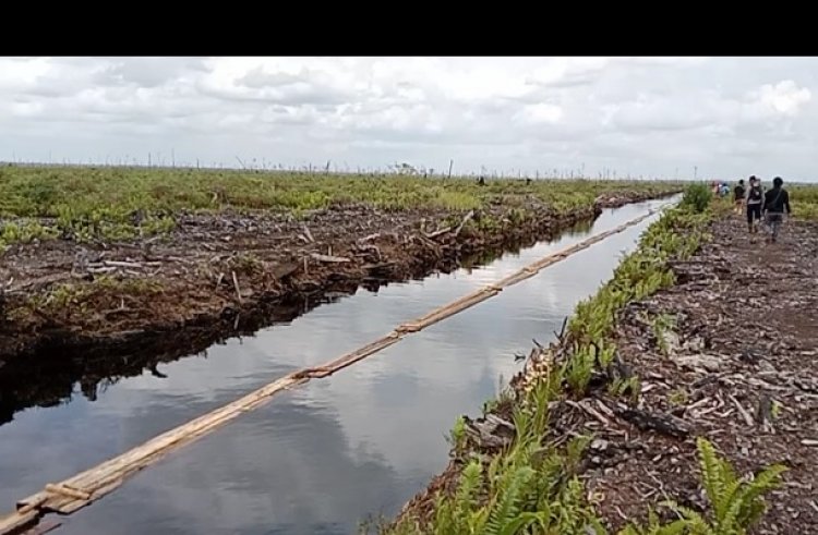 Lagi, Polres Muarojambi Amankan Belasan Kubik Kayu Ilegal