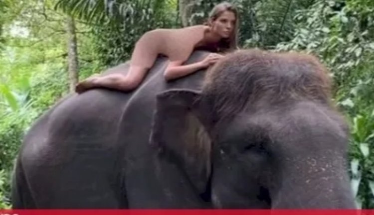 Influencer Rusia Ini Bikin Geram Netizen, Usai Pose Bugil Naik Gajah di Bali