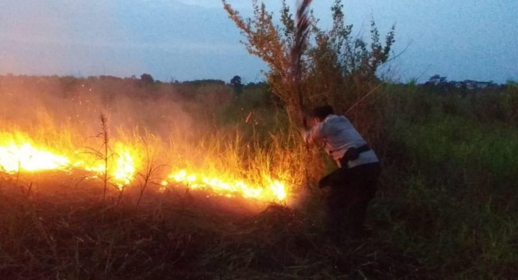 Lahan Gambut di Kecamatan Kumpeh Terbakar, Polisi: Penyebab Kebakaran Belum Diketahui