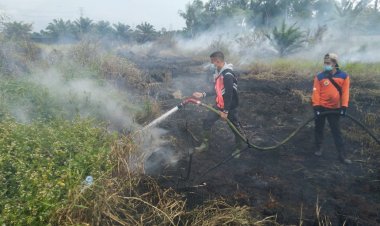 Lahan di Kasangpudak Muarojambi Terbakar, Segini Luasnya