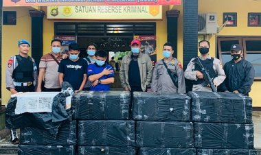 Nekat Turunkan Benih Lobster di Jalan, Tiga Orang Ini Diciduk Polisi