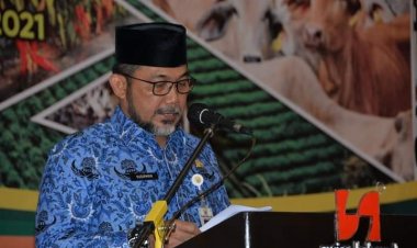 Sudirman Tegaskan Pemprov Jambi Akan Prioritaskan Pertanian di Masa Pandemi