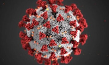 51 Siswa MAN Cendikia Jambi Positif Corona